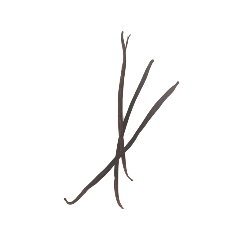 Vanille Bourbon de La Réunion – 5 gousses premium | MÉLGA