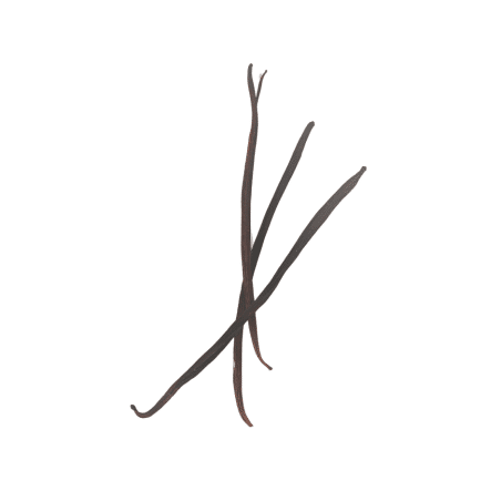 Vanille Bourbon de La Réunion – 5 gousses premium | MÉLGA