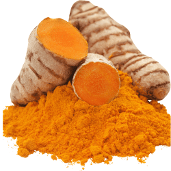 copy of CURCUMA MÈRE 951