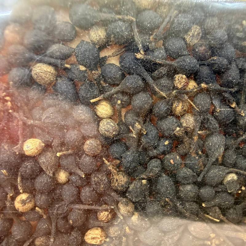 POIVRE SAUVAGE de la Maison du Curcuma