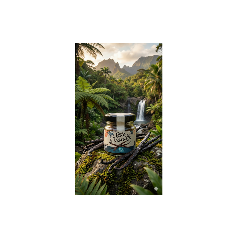 Pâte de Vanille Noire RN Vanille RN Professionnel
