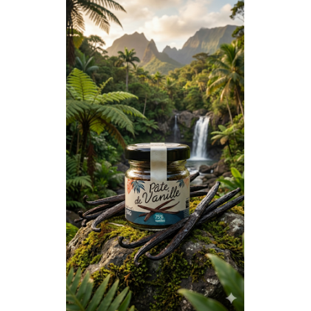 Pâte de Vanille Noire RN Vanille RN Professionnel