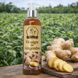Vinaigre de gingembre | Maison du Curcuma – Mémé Rivière