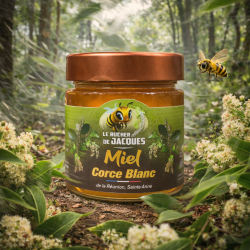 Miel de Corce Blanc – Miel rare de La Réunion | Rucher de Jacques