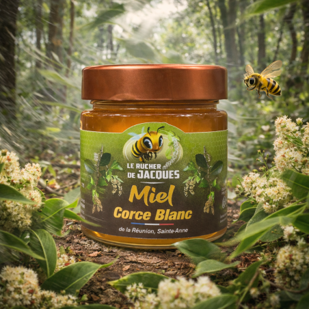 Miel de Corce Blanc – Miel rare de La Réunion | Rucher de Jacques