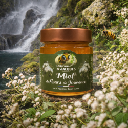 Miel de Fleur de Jouvence – Miel rare de La Réunion | Le Rucher de Jacques