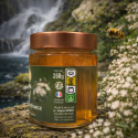 Miel de Fleur de Jouvence – Miel rare de La Réunion | Le Rucher de Jacques