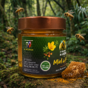 Miel de Curcuma – Miel de fleurs au curcuma mère | Rucher de Jacques