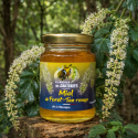 Miel de Forêt de Tan Rouge (Miel Vert) – Le Rucher de Jacques | Miel de La Réunion