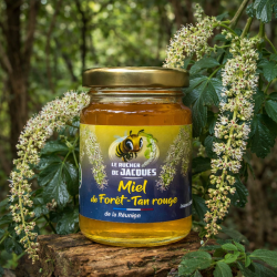 Miel de Forêt de Tan Rouge (Miel Vert) – Le Rucher de Jacques | Miel de La Réunion