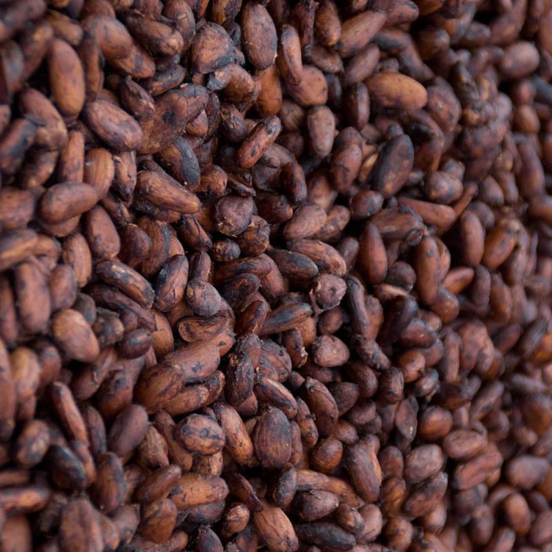 Chocolat Noir 65% Grand Cru – Eden de Takamaka | Cacao Venezuela & Vanille Réunion