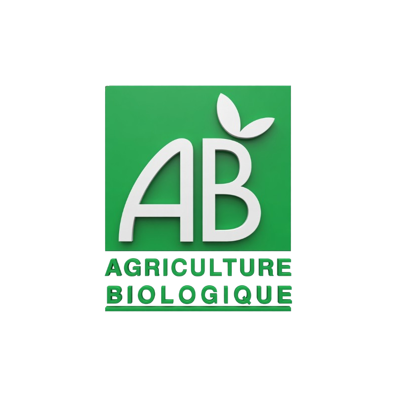 Velours de Moringa bio – Tartinable artisanal réunionnais | MELGA