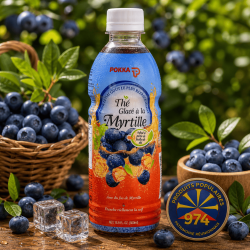 Thé glacé myrtille Pokka 500 ml – Boisson fruitée rafraîchissante