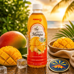 Thé glacé mangue Pokka 500 ml – Boisson rafraîchissante exotique