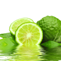 Sirop de Combava de La Réunion – Jimmy LEPINAY | MELGA
