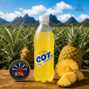 Cot Ananas Réunion – Boisson gazeuse à l’ananas Victoria