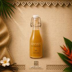 Élixir de Gingembre Fermenté – La Maison du Curcuma