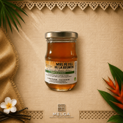Miel Tropical Foncé – Miel Artisanal Corsé de La Réunion | Les Ruchers d’Autre Foies  | MELGA.FR