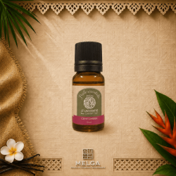 Huile Essentiel de CRYPTOMERIA, en 10ml