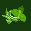 PIMENT VERT MENTHE - Le Goût Nout'Zarlor, l'un des produits les plus appréciés.