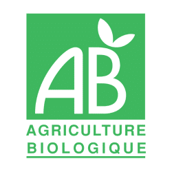 Thé Vert au Citron Bio – Labyrinthe en Champ Thé | MELGA.RE