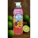 Thé glacé Pokka au fruit de la passion - Rafraîchissant & exotique | MELGA.FR